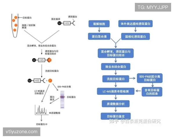 深入解析篮球比赛中卡位犯规规则的具体判罚标准与定义细节